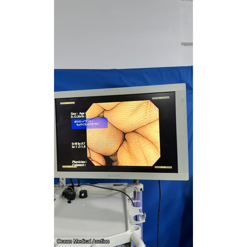 OLYMPUS GIF-H260Z SN.2911346