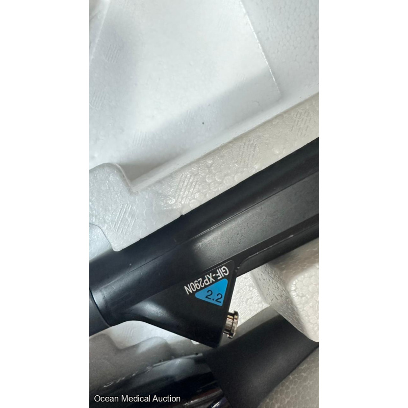 OLYMPUS GIF-XP290N SN.2735726