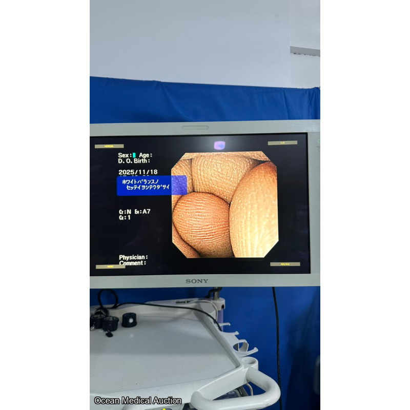 OLYMPUS GIF-XP260NS SN.2503991