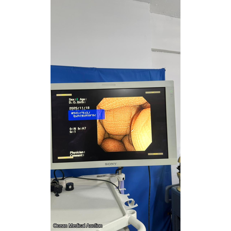 OLYMPUS GIF-XP260 SN.2522422